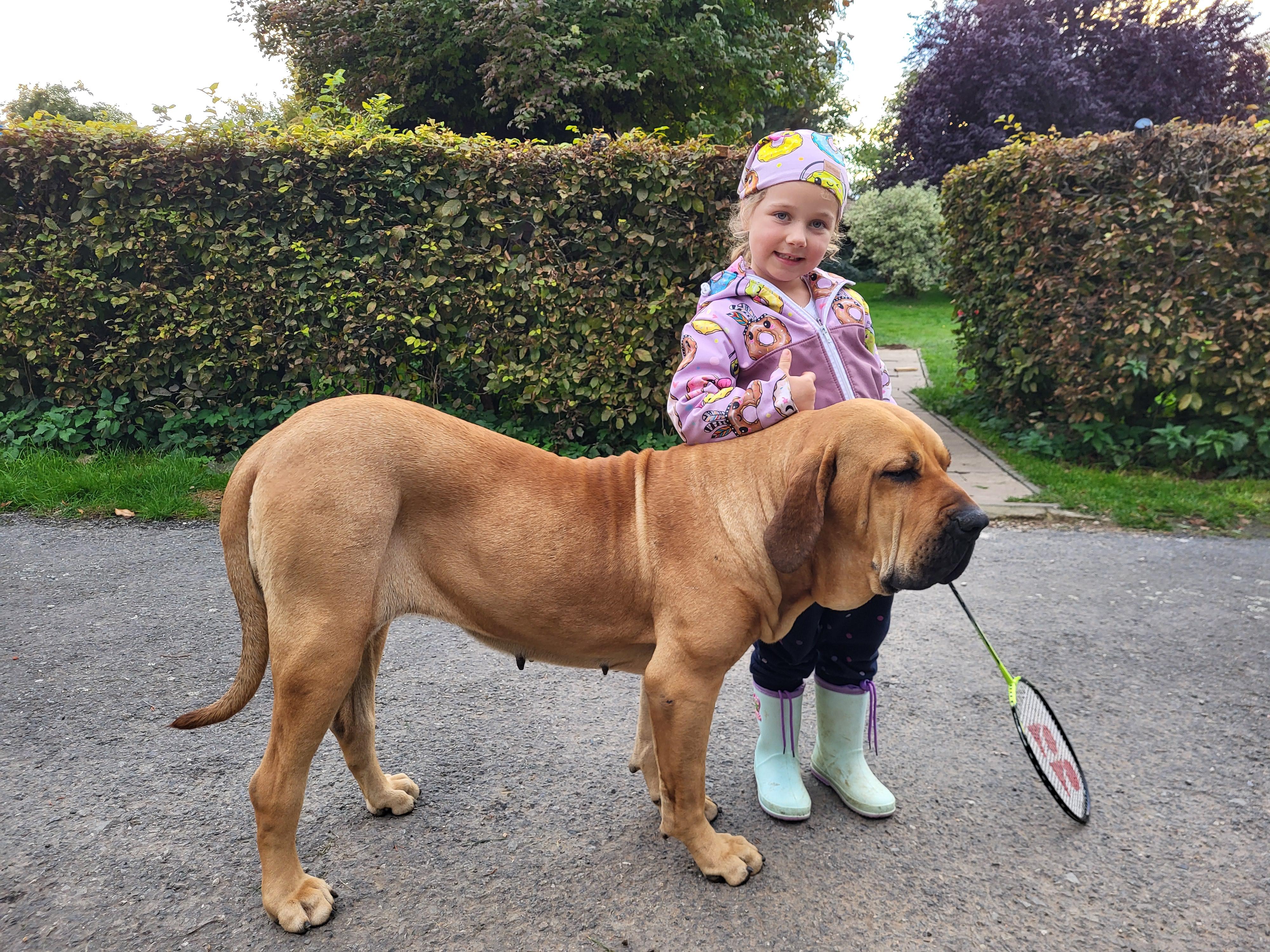 Brazilská fila Debie + Madlenka